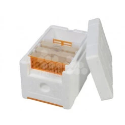 Ruchette Fécondation SWI-BINE