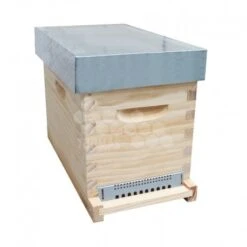 Ruchette Dadant 6 Cadres Aérée Avec Corps à Tenon Tradition®