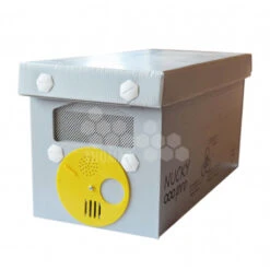 Ruchette Langstroth Nucky Pro