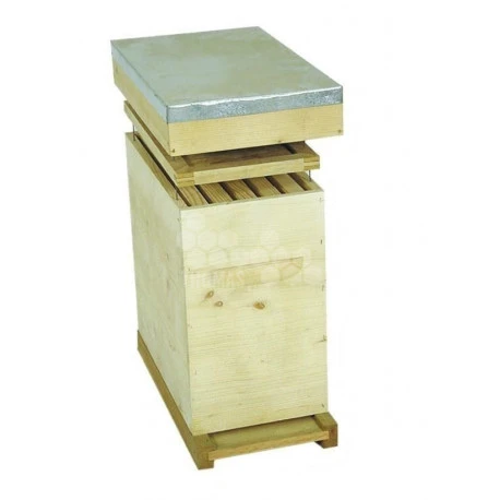 Ruchette Voirnot 5 Cadres 1 Ruchette Voirnot 5 Cadres